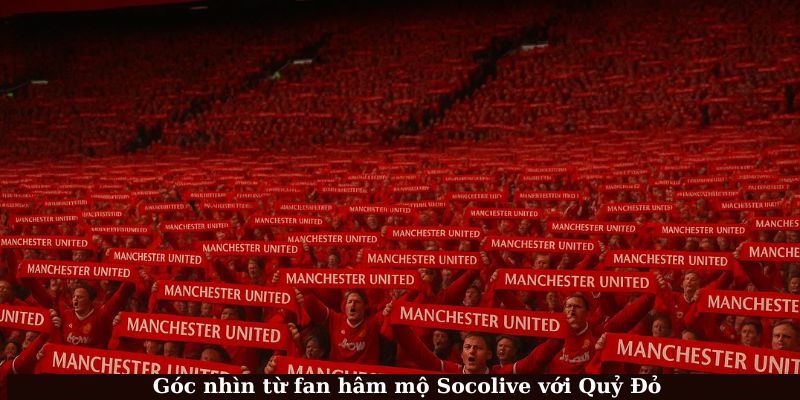 Góc nhìn của fan hâm mộ Socolive với Quỷ Đỏ